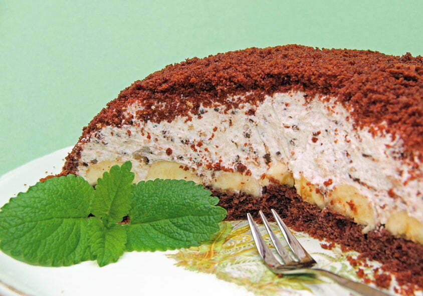 Krtičina torta